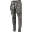 ZNE ROADTR PANT W