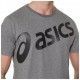 LOGO SS TOP AsIcs