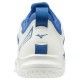 Ghost Shadow Mizuno