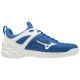 Ghost Shadow Mizuno