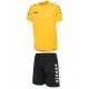 Training Set Hummel