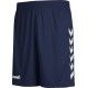 Core Poly Shorts