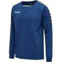 HMLAuthentic Trainning Sweat Hummel