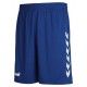 Core Poly Shorts
