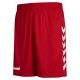 Core Poly Shorts