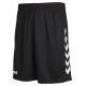 Core Poly Shorts