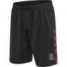 HMLGG12 ACTION SHORTS hummel