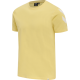 hmlLegacy Chevron T-shirt hummel