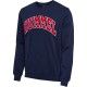 HMLIC BILL SWEATSHIRT hummel