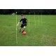 Agility Poles X 12